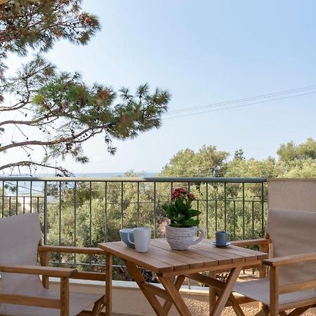 Alexandros Maisonettes & Apartments Nea Moudania Exterior photo